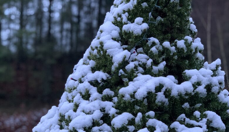 best Christmas markets in the UK