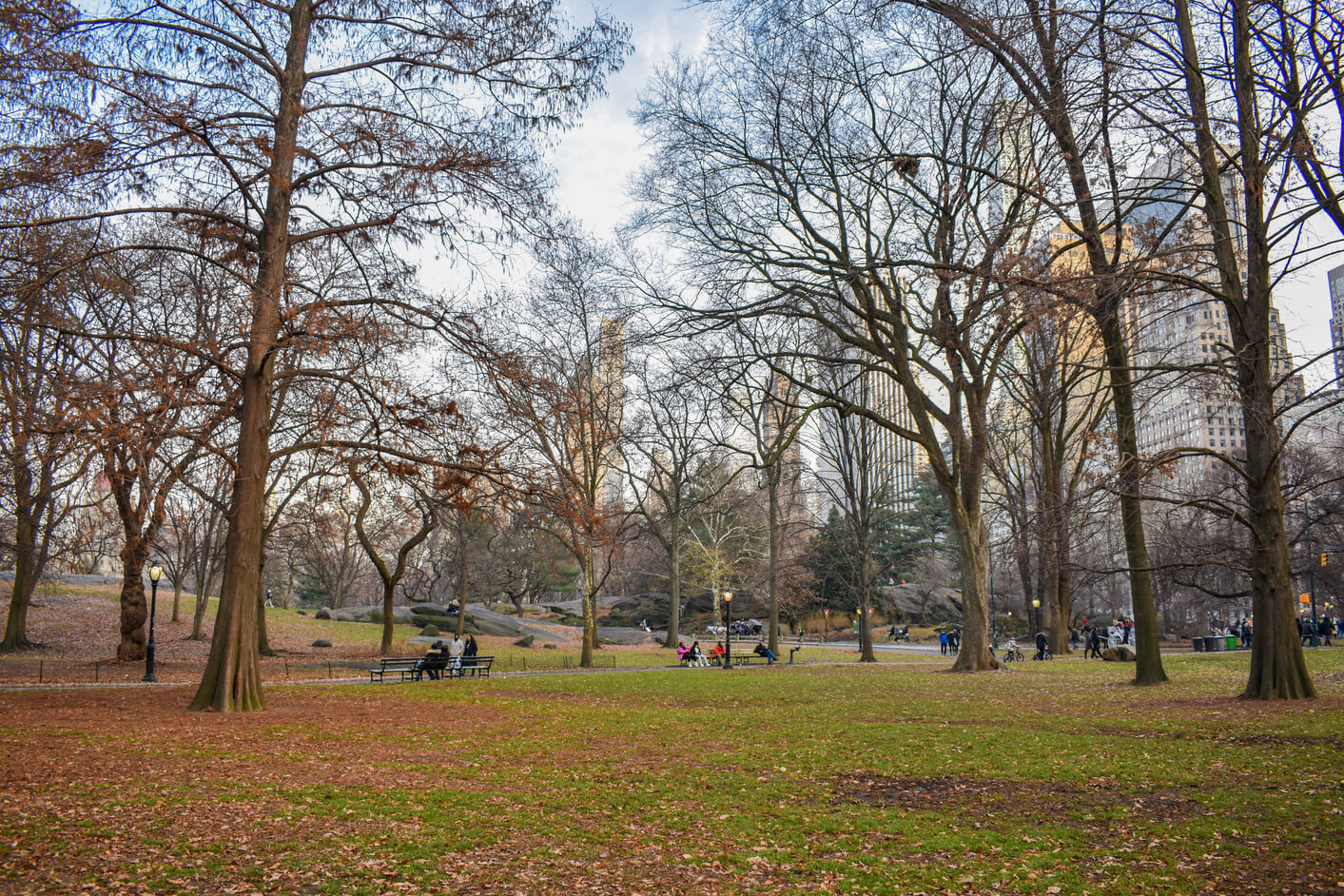 Central Park - 7 days in New York itinerary