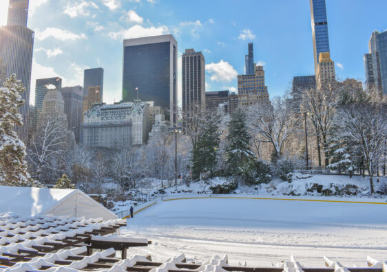 Wollman Rink