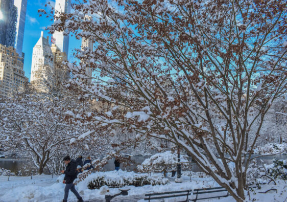 Central Park in snow