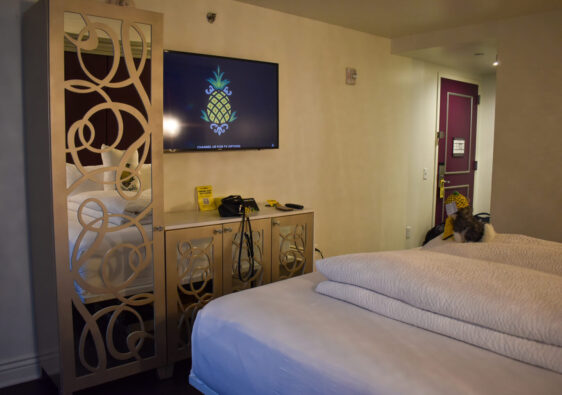 Staypineapple New York review