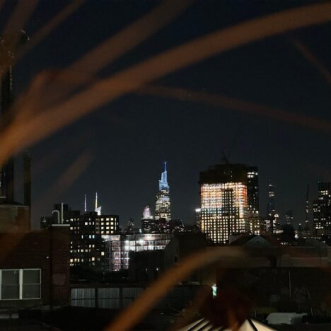 Vintage Green Rooftop NYC Review