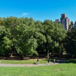 Perfect Picnic NYC Review - Luxury Picnic in Central Park