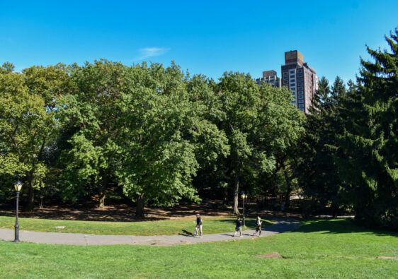 Perfect Picnic NYC Review - Luxury Picnic in Central Park