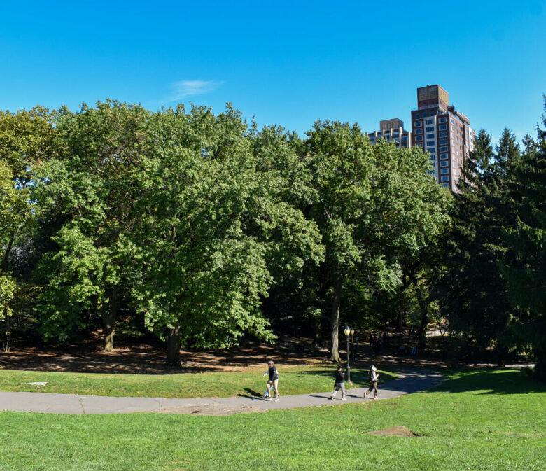 Perfect Picnic NYC Review - Luxury Picnic in Central Park