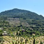 3 Day Palma Itinerary - How To Spend 3 Days in Palma de Mallorca